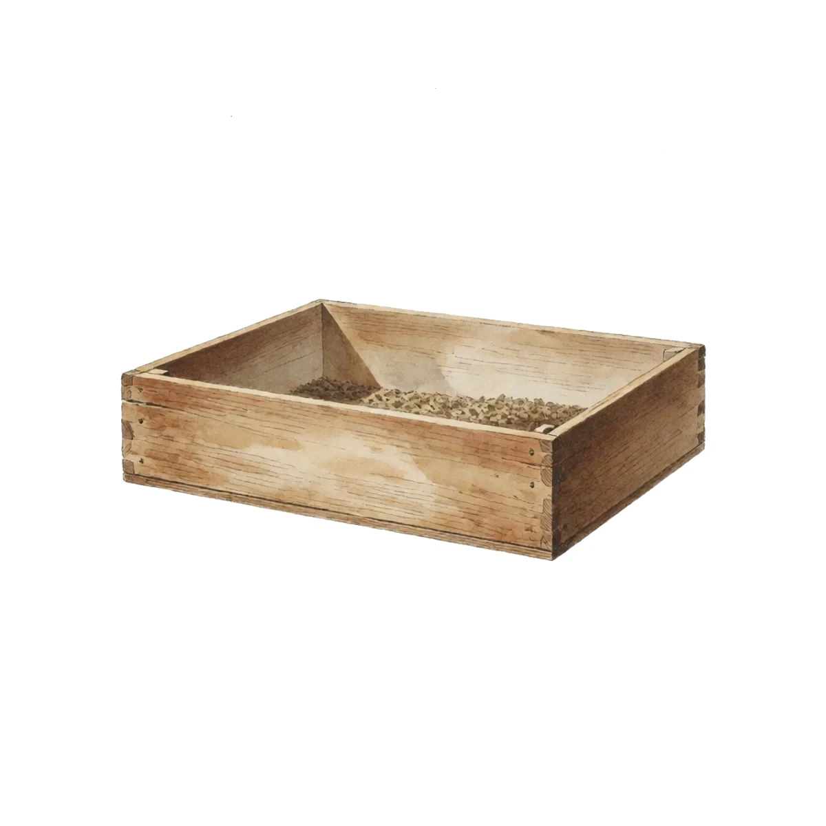 Watercolour plate of a low wooden frame box about two by three feet in a dry sunny corner of a chicken run, filled deep with loose material