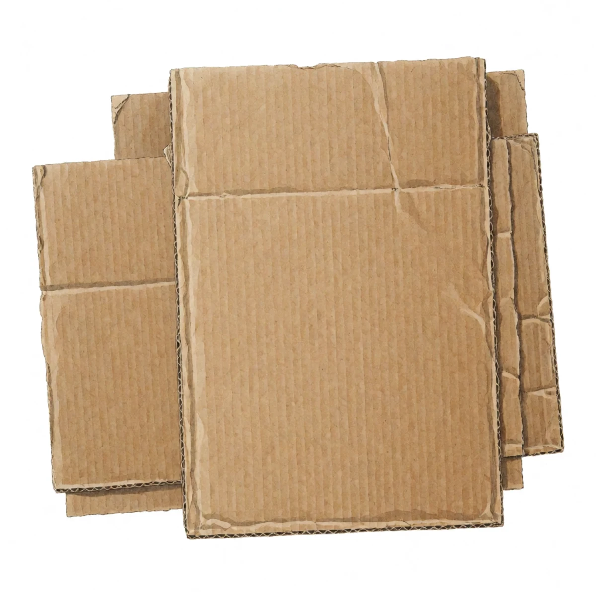 Watercolour plate of sheets of plain brown corrugated cardboard laid across a bed with seams overlapping generously, tape stripped off