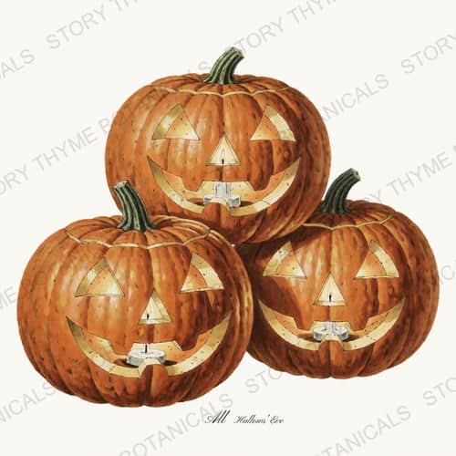 Jack O Lanterns — a print on a white background, from the Vintage-Style Halloween collection