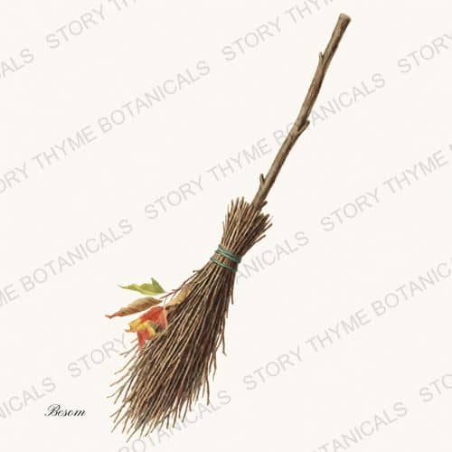 Witchs Broom — a print on a white background, from the Vintage-Style Halloween collection