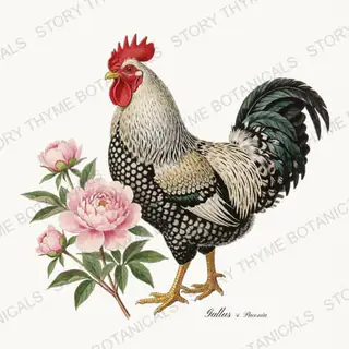 Rooster Peonies — vintage botanical Cottage Garden Roosters Vol. 2 print on a white background