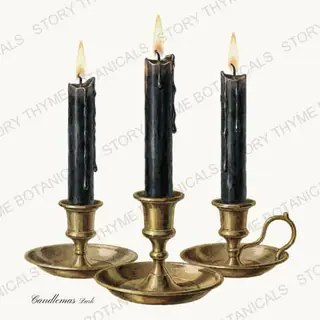 Black Candles — vintage botanical Vintage-Style Halloween print on a white background