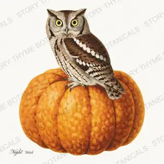 Owl Pumpkin — vintage botanical Vintage-Style Halloween print on a white background