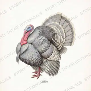 Lilac — vintage botanical Heritage Turkeys print on a white background