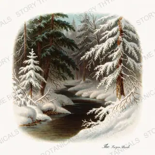 Winter Creek — vintage botanical Little Landscapes print on a white background