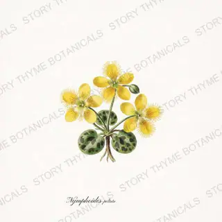 Floating Heart — vintage botanical Pond & Water Garden print on a white background