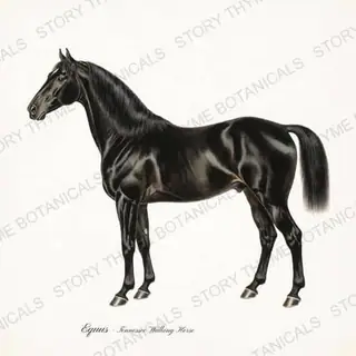 Tennessee Walking Horse — vintage botanical The Stable print on a white background